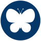camp butterfly blue